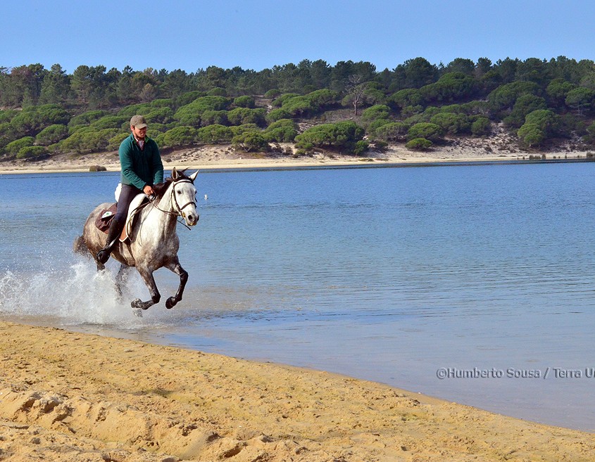 1 - Atl+óntico mediterr+ónico