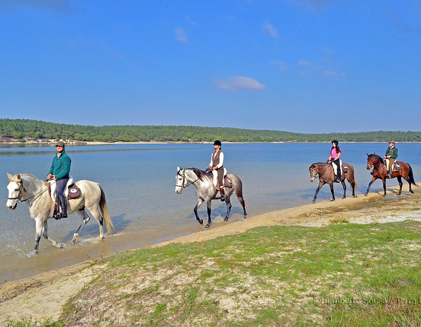 10 -Atlantico mediterr+ónico