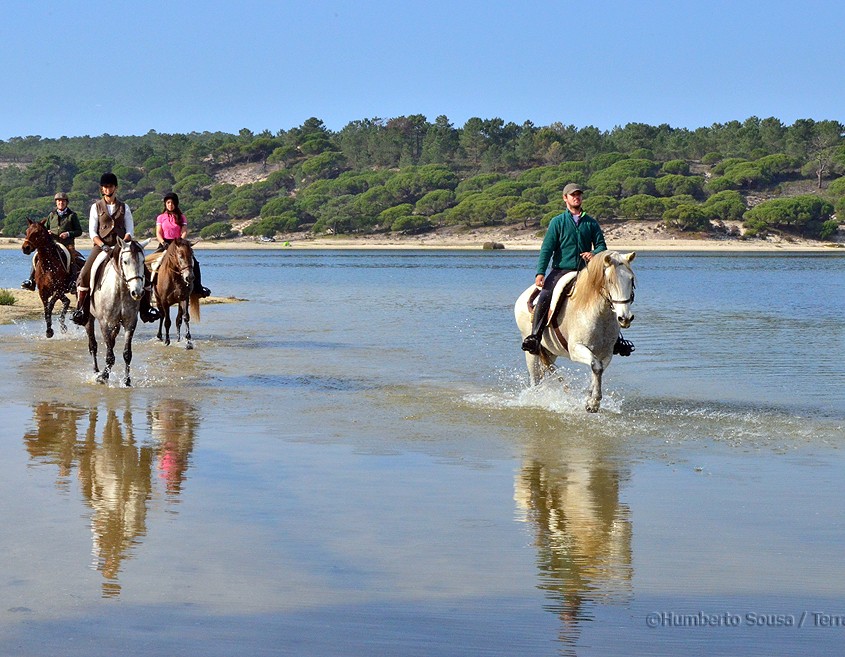 11 - Atl+óntico mediterr+ónico