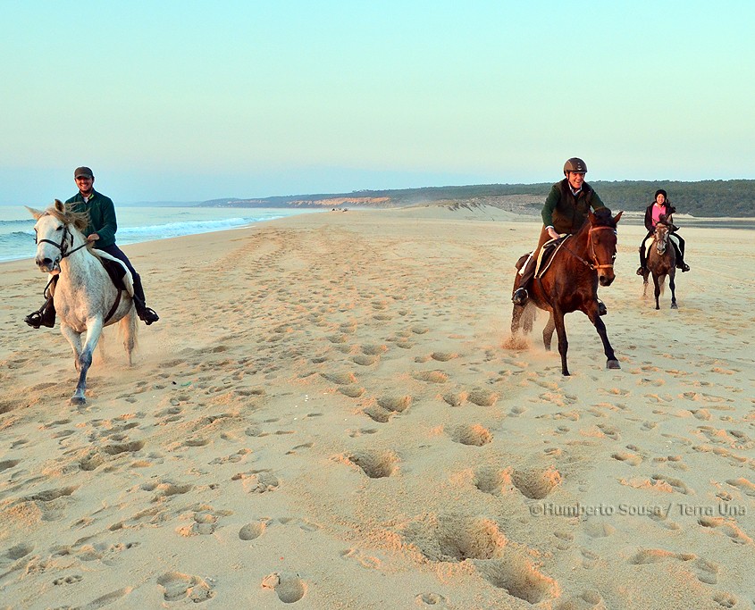 12 - Atl+óntico mediterr+ónico