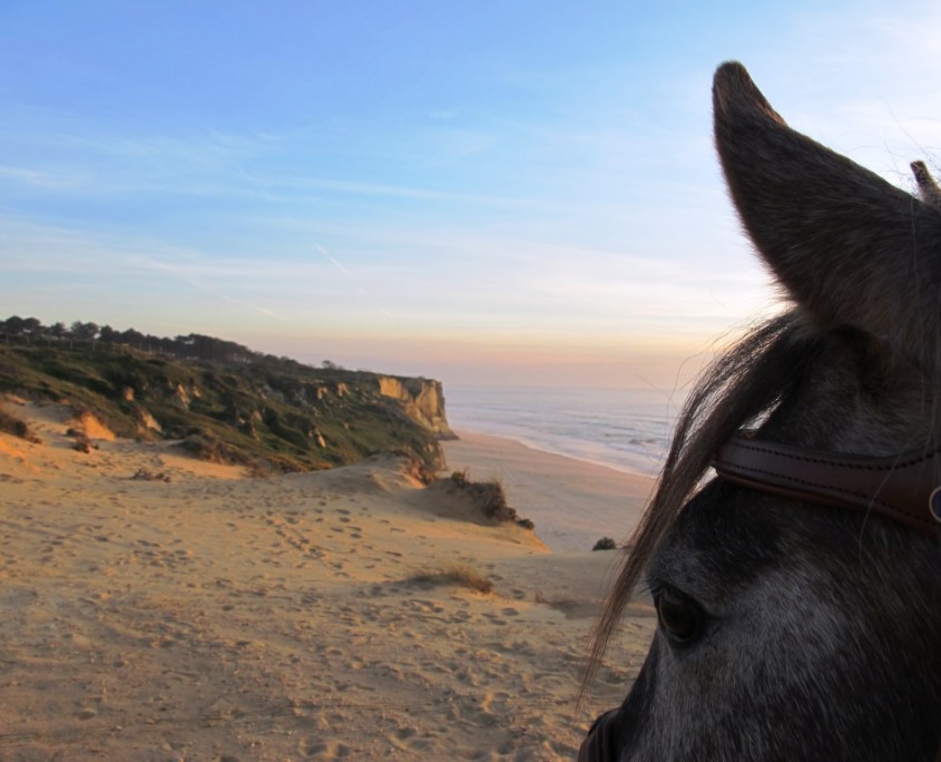 13 - Atl+óntico mediterr+ónico