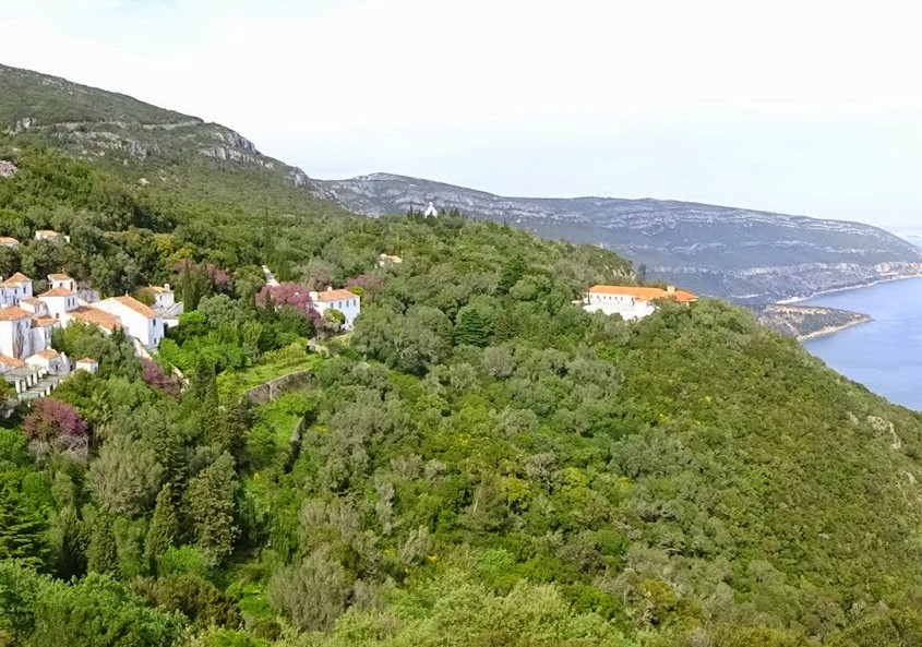 14 - Atl+óntico mediterr+ónico