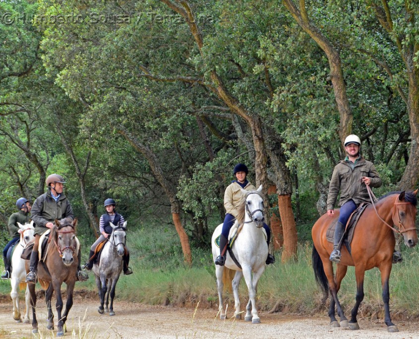 16 - Atl+óntico mediterr+ónico