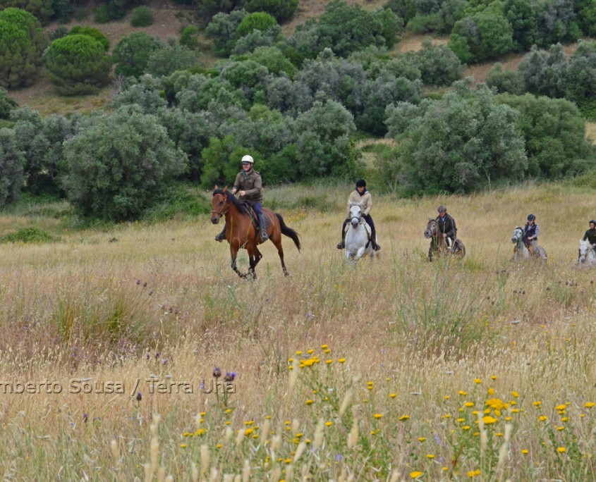 17 - Atl+óntico mediterr+ónico