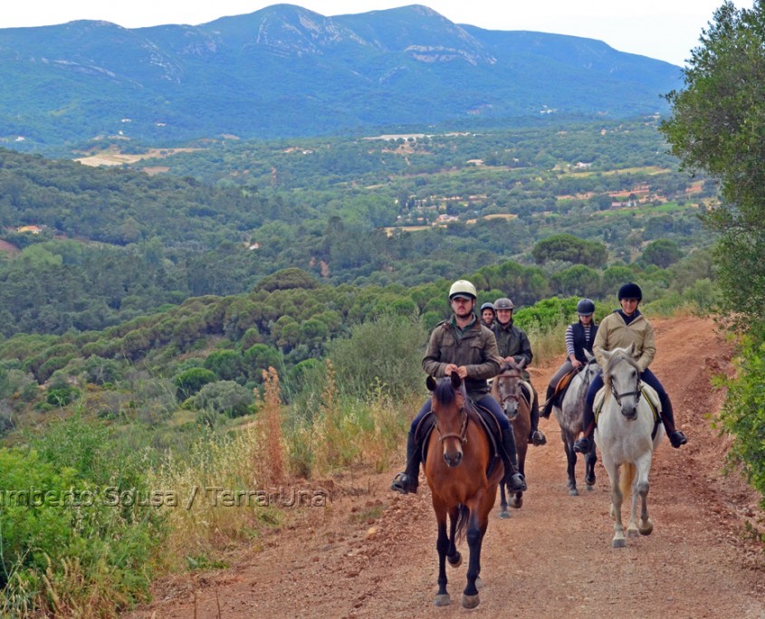 18 - Atl+óntico mediterr+ónico