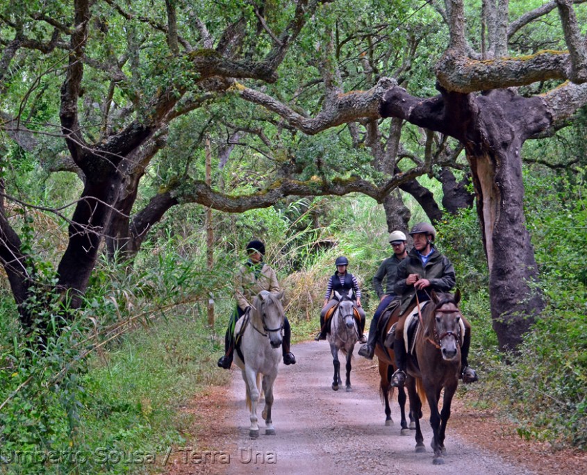 19 - Atl+óntico mediterr+ónico