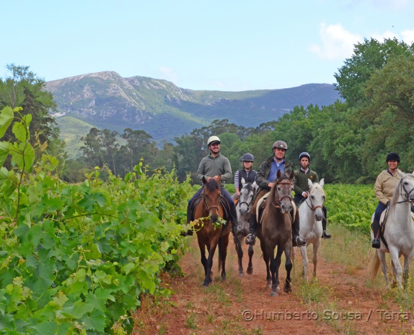 20 - Atl+óntico mediterr+ónico