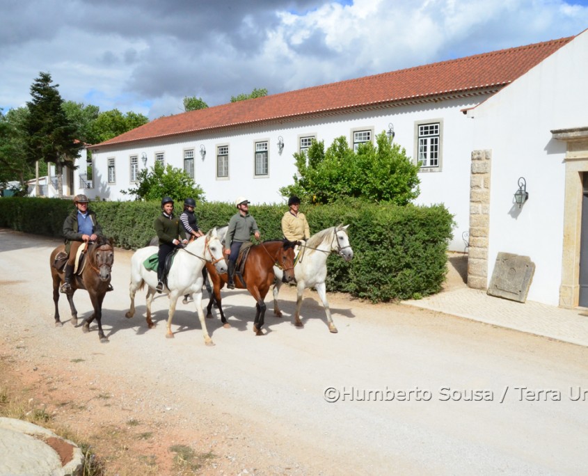 21 - Atl+óntico mediterr+ónico