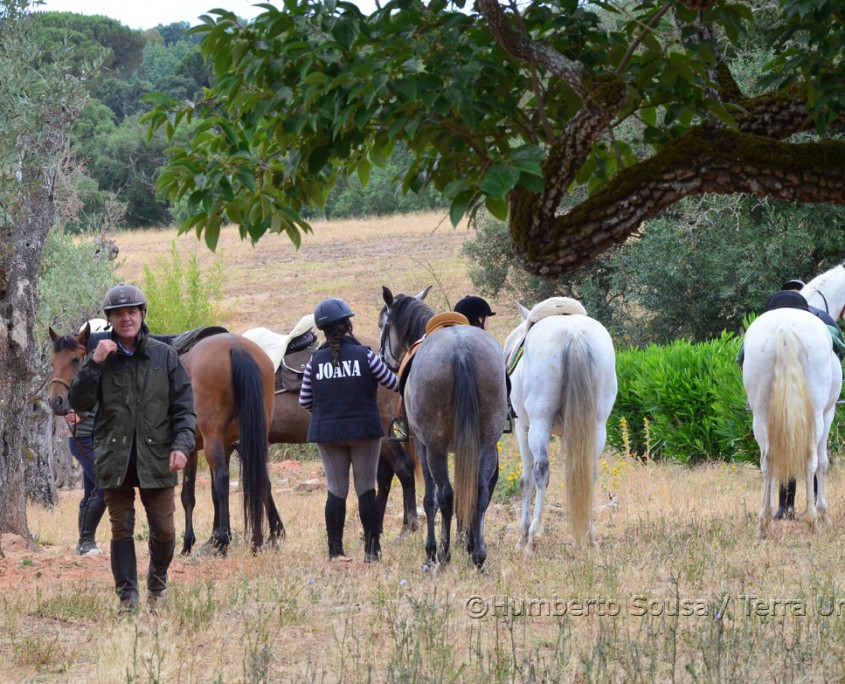 22 - Atl+óntico mediterr+ónico