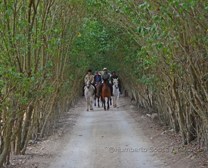 25 - Atl+óntico mediterr+ónico