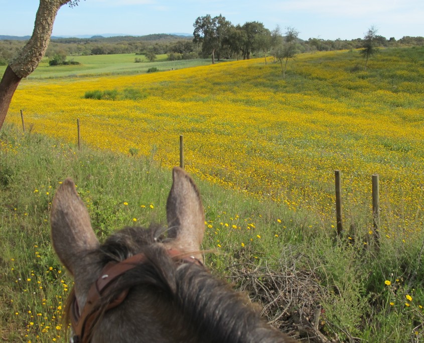 3 - Rota Costa de Sagres