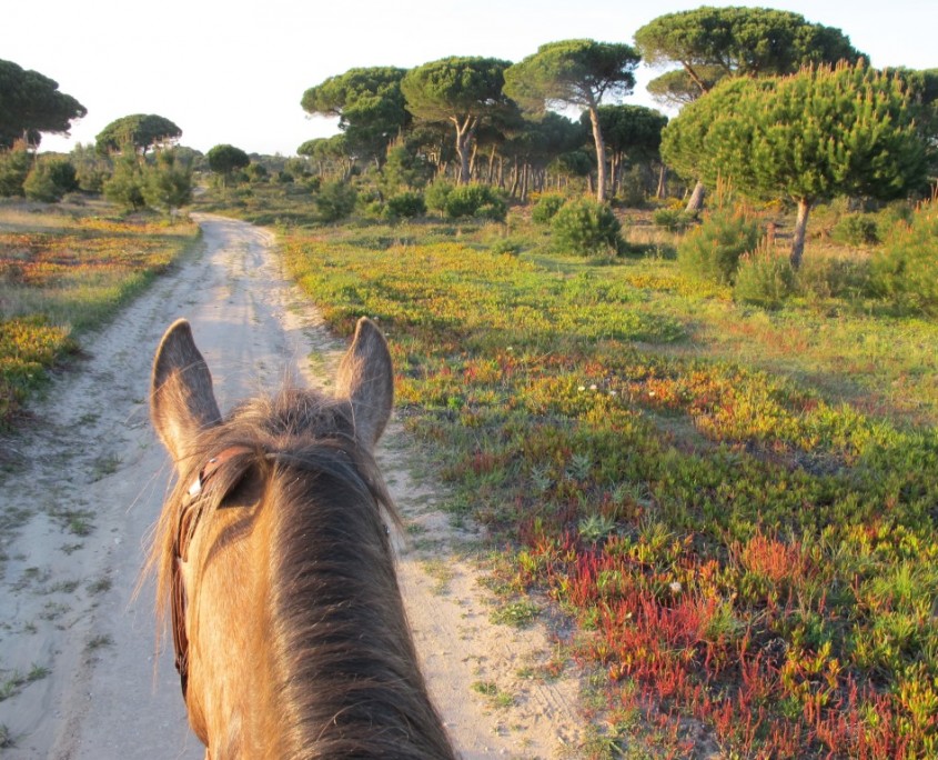 8 - Atl+óntico mediterr+ónico