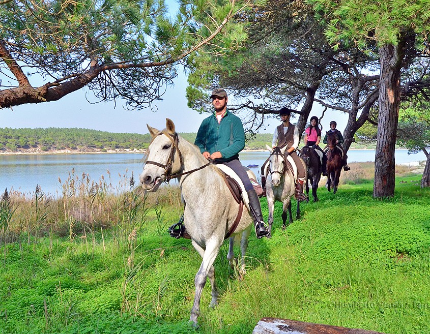 9 - Atl+óntico mediterr+ónico